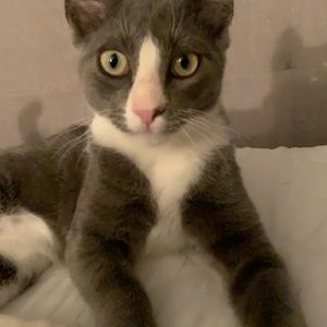 Meet your Posher, April